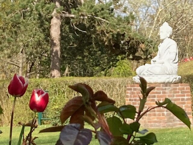 Buddha mit Tulpen